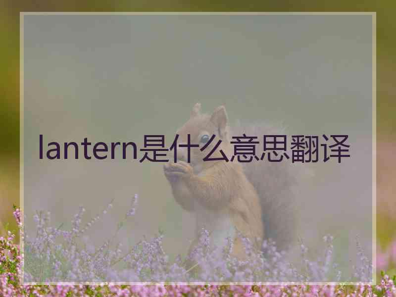 lantern是什么意思翻译