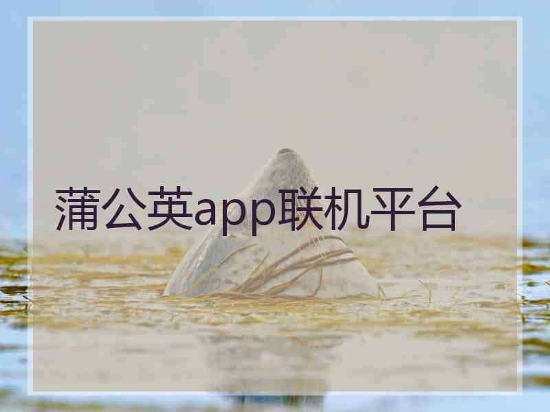 蒲公英app联机平台