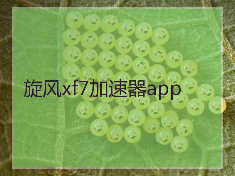 旋风xf7加速器app