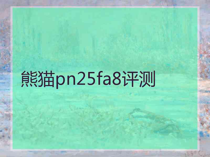 熊猫pn25fa8评测