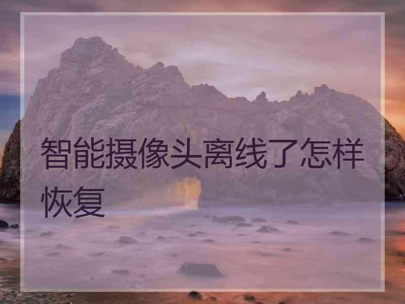 智能摄像头离线了怎样恢复