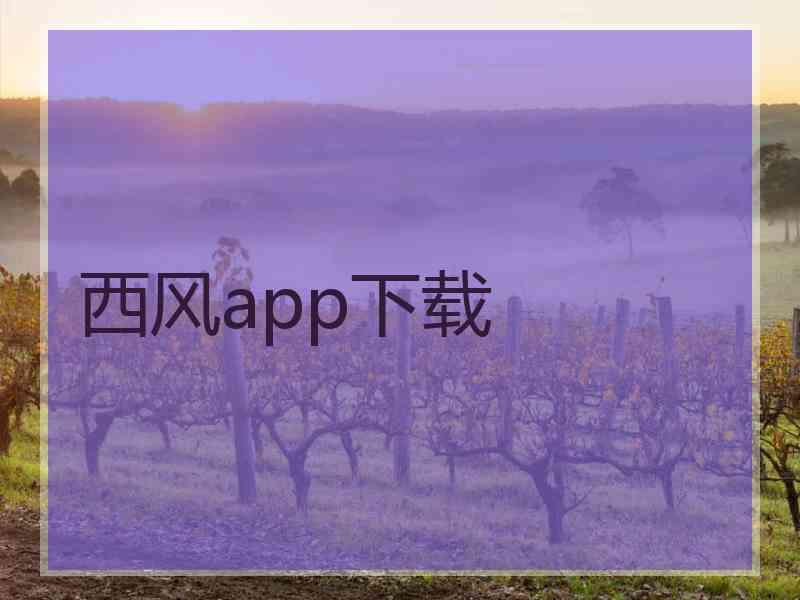 西风app下载