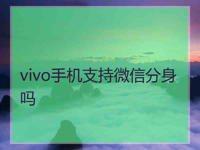 vivo手机支持微信分身吗