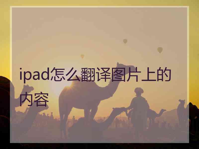 ipad怎么翻译图片上的内容