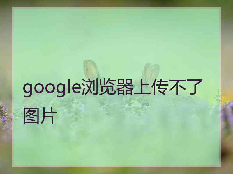 google浏览器上传不了图片