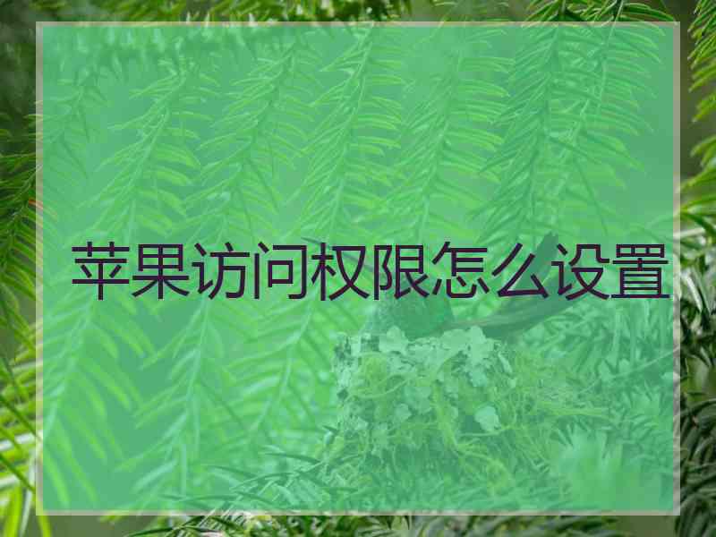 苹果访问权限怎么设置