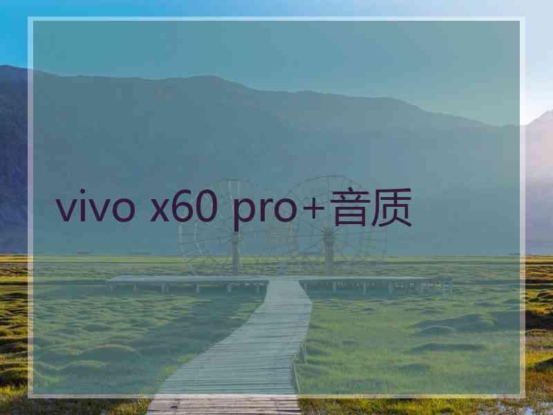 vivo x60 pro+音质