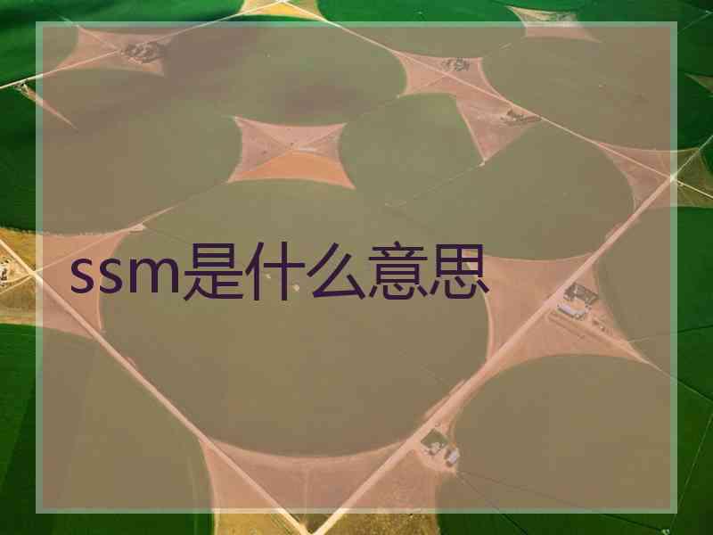 ssm是什么意思