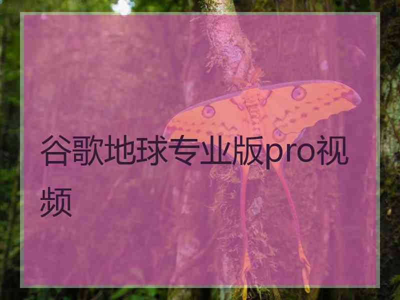 谷歌地球专业版pro视频