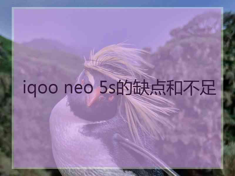 iqoo neo 5s的缺点和不足