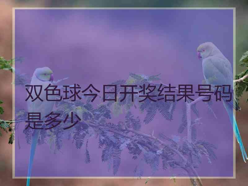 双色球今日开奖结果号码是多少