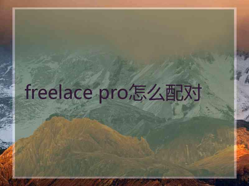 freelace pro怎么配对