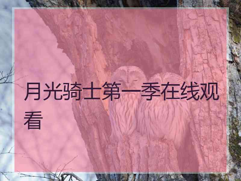 月光骑士第一季在线观看