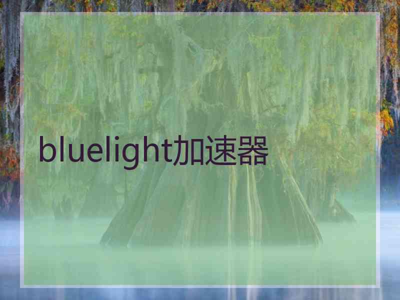 bluelight加速器