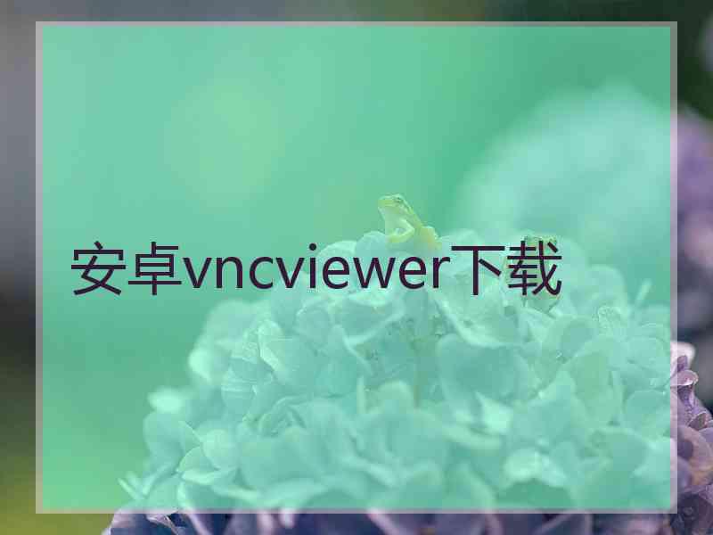 安卓vncviewer下载