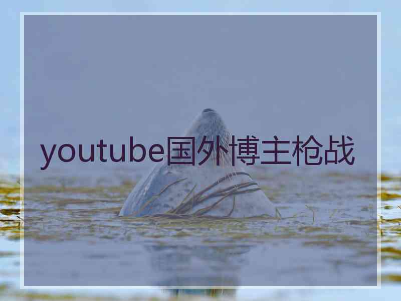 youtube国外博主枪战