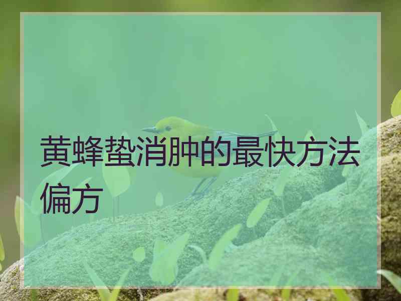 黄蜂蛰消肿的最快方法偏方