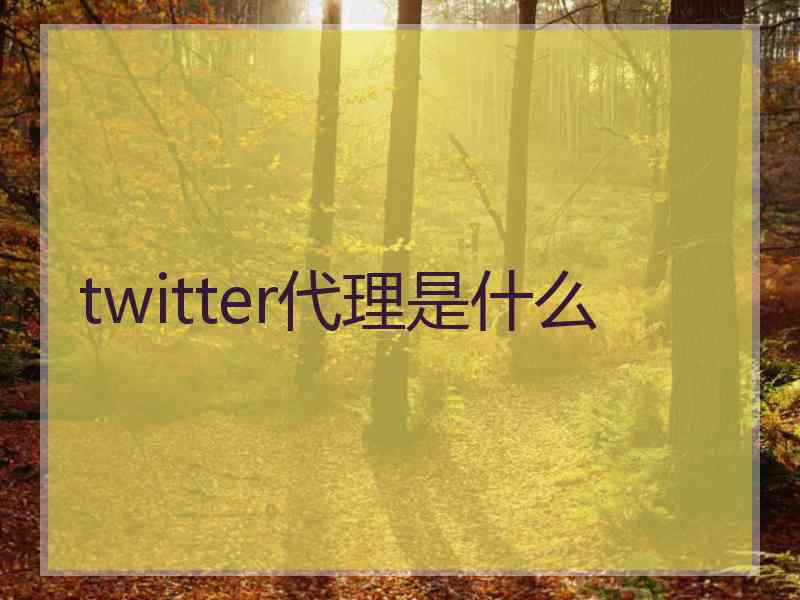 twitter代理是什么