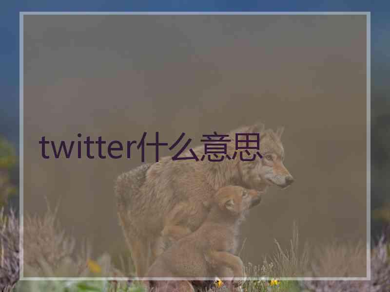 twitter什么意思