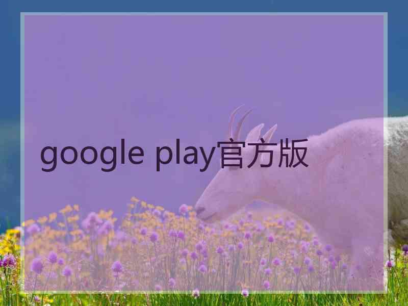 google play官方版