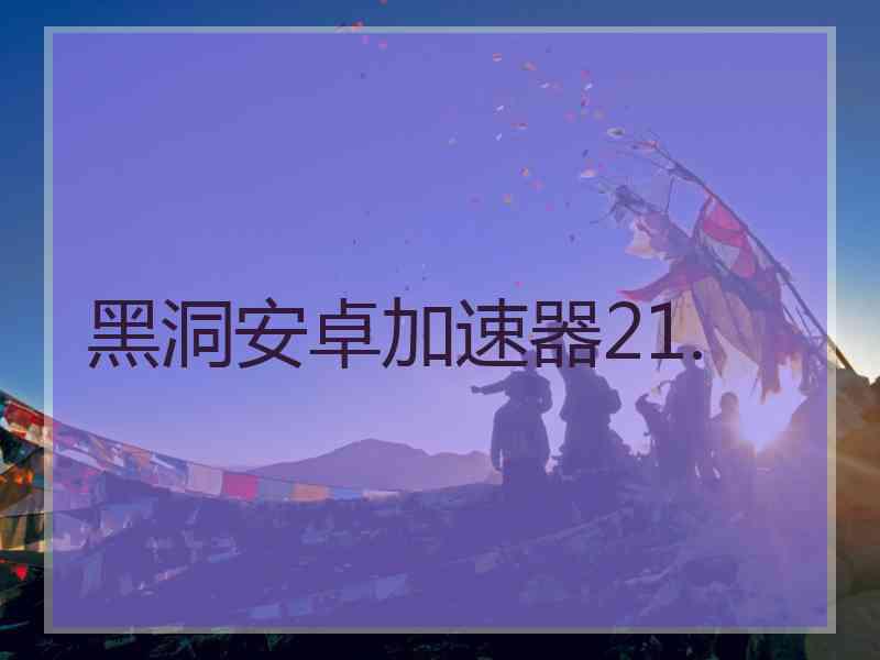 黑洞安卓加速器21.