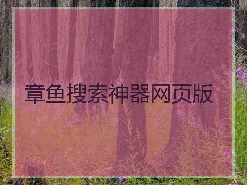 章鱼搜索神器网页版