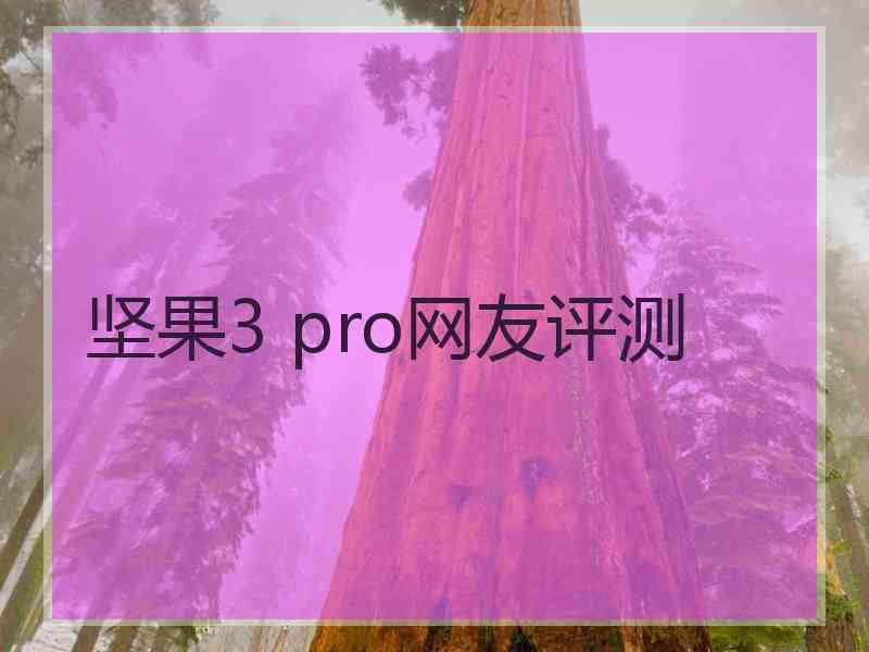 坚果3 pro网友评测