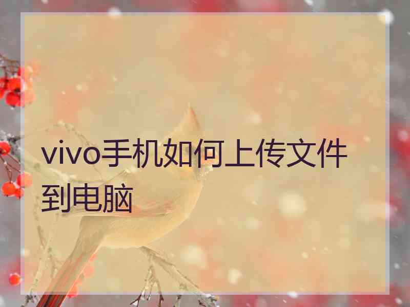 vivo手机如何上传文件到电脑