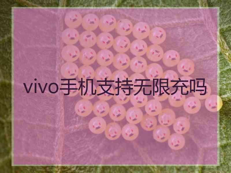 vivo手机支持无限充吗