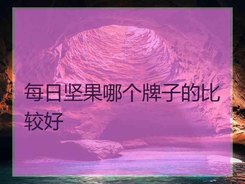 每日坚果哪个牌子的比较好