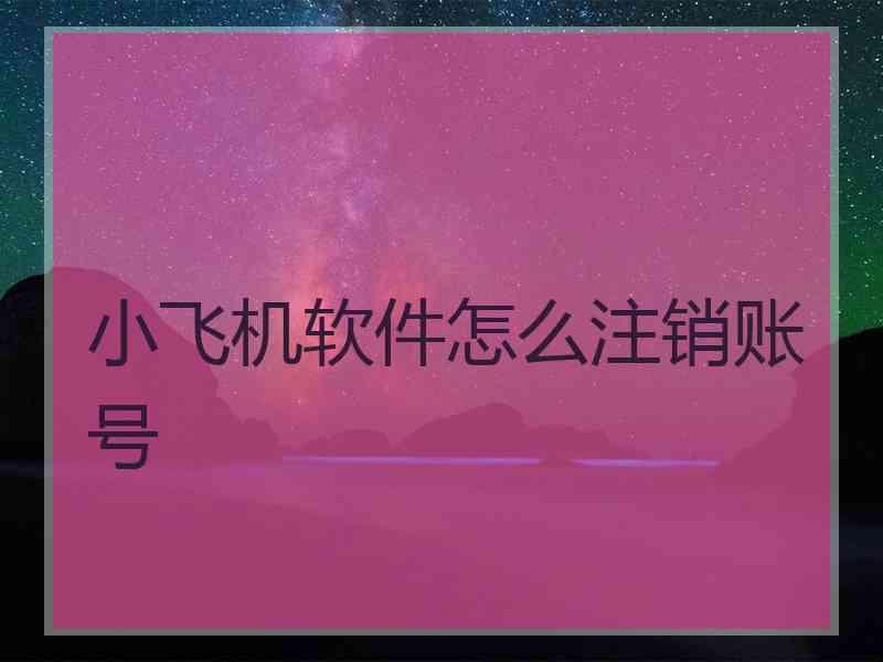 小飞机软件怎么注销账号