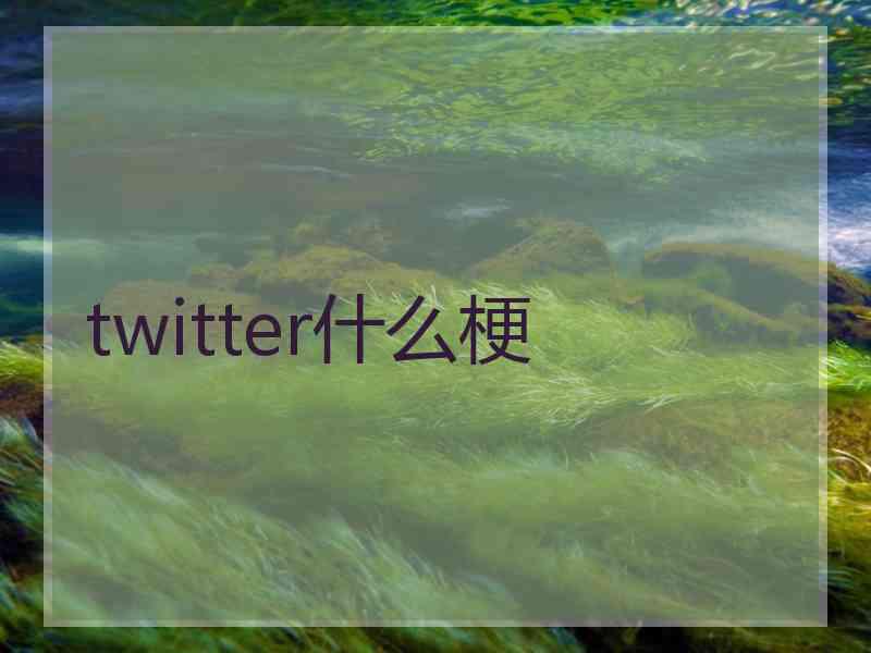 twitter什么梗