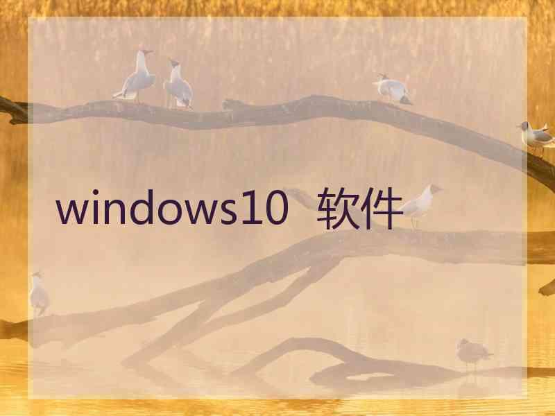 windows10  软件