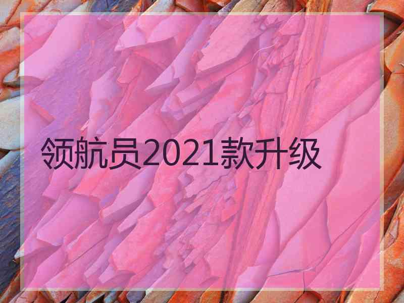 领航员2021款升级