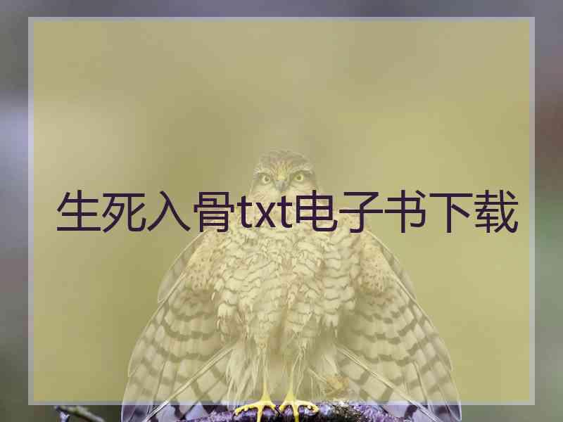 生死入骨txt电子书下载