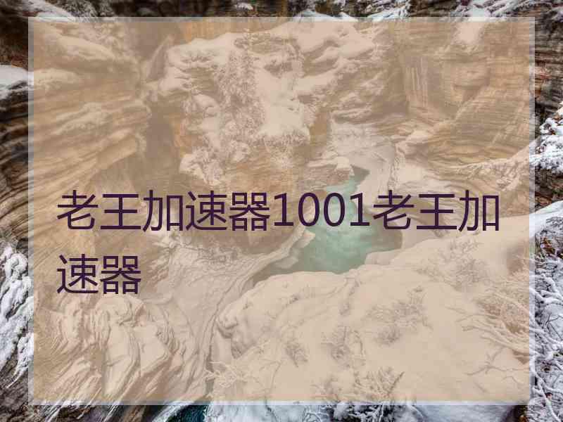 老王加速器1001老王加速器