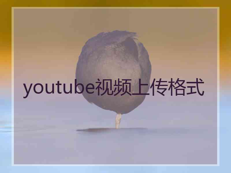 youtube视频上传格式