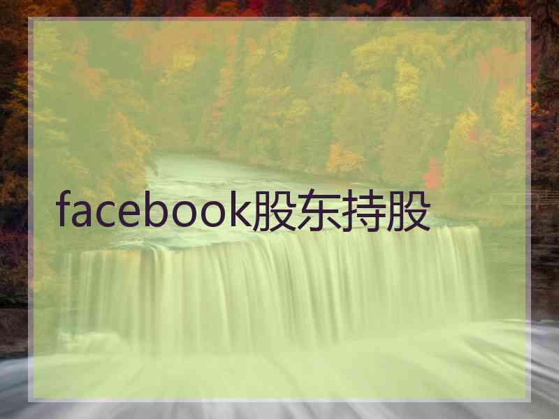 facebook股东持股