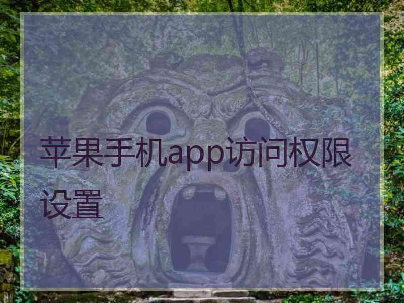 苹果手机app访问权限设置