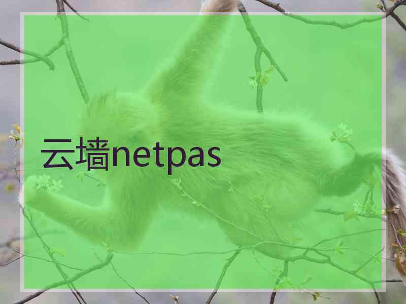 云墙netpas