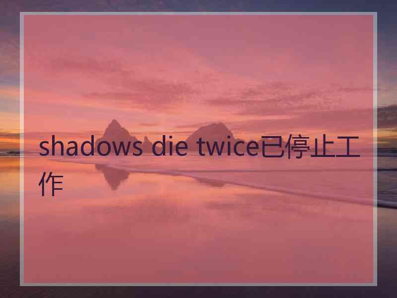 shadows die twice已停止工作