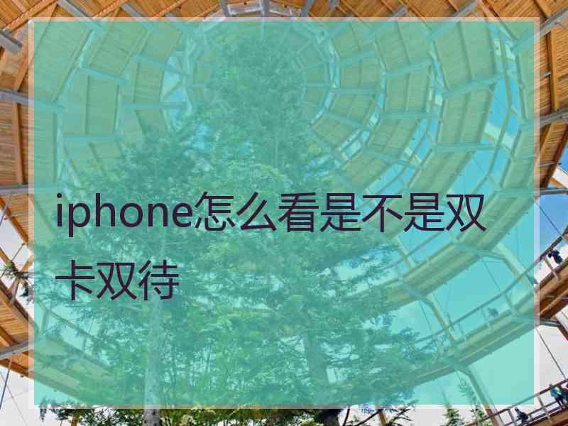 iphone怎么看是不是双卡双待