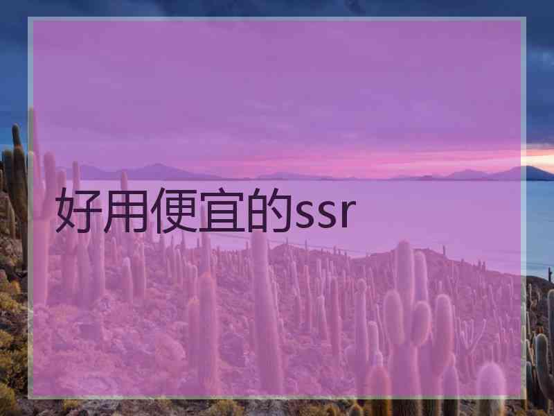 好用便宜的ssr