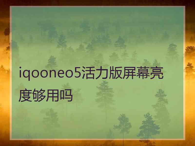 iqooneo5活力版屏幕亮度够用吗