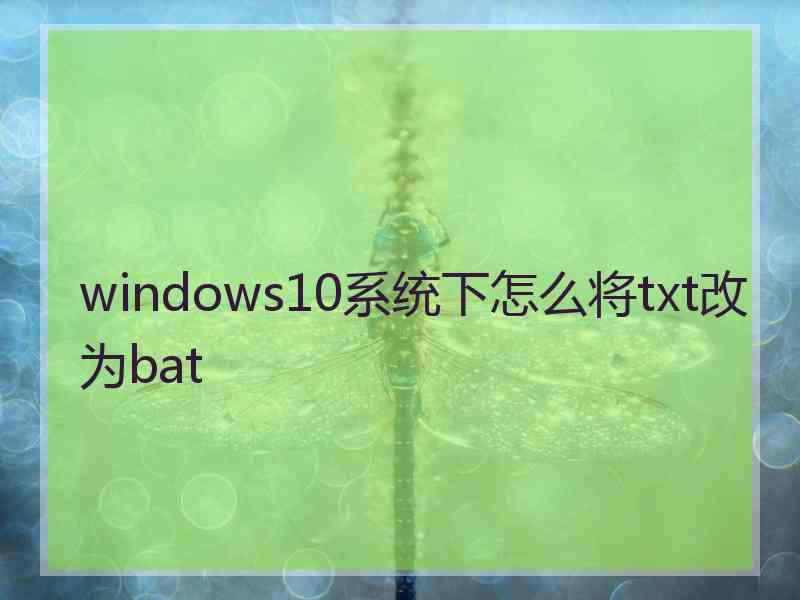 windows10系统下怎么将txt改为bat