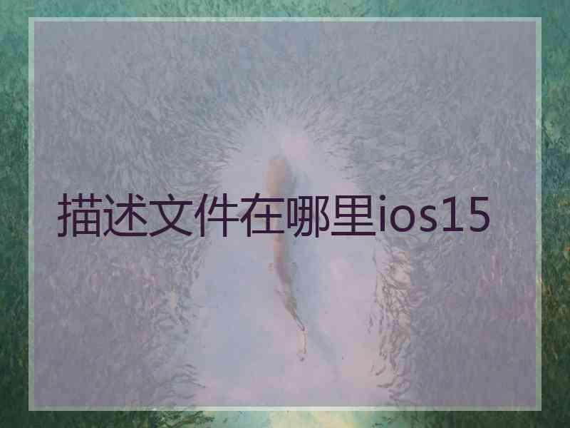 描述文件在哪里ios15