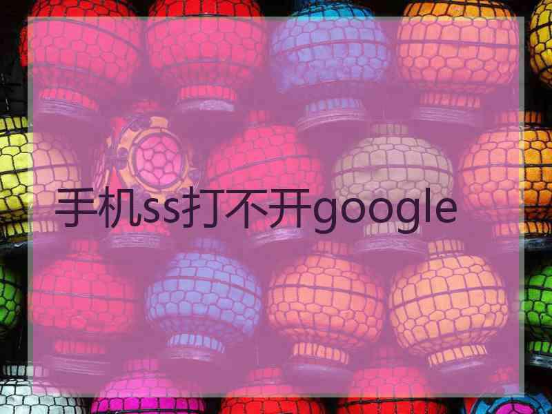 手机ss打不开google