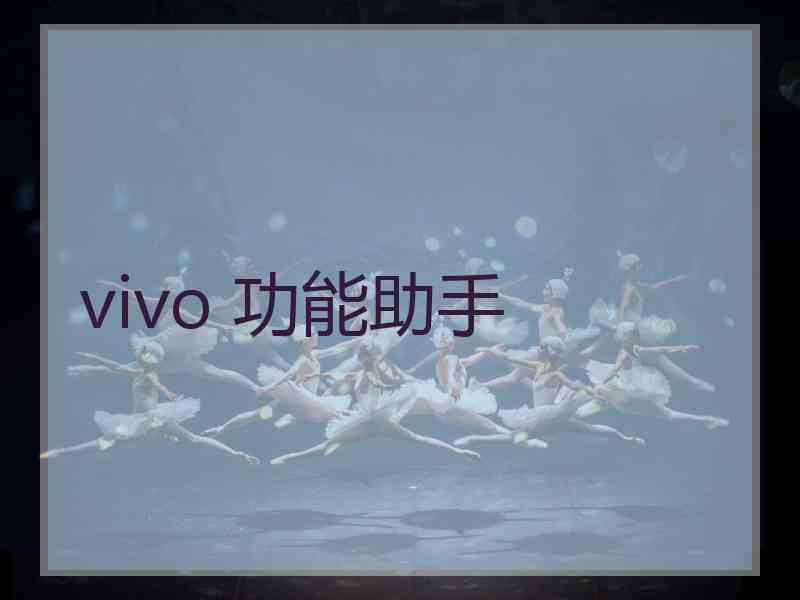 vivo 功能助手