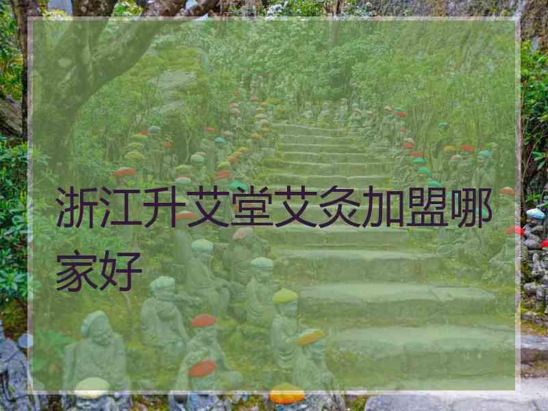 浙江升艾堂艾灸加盟哪家好