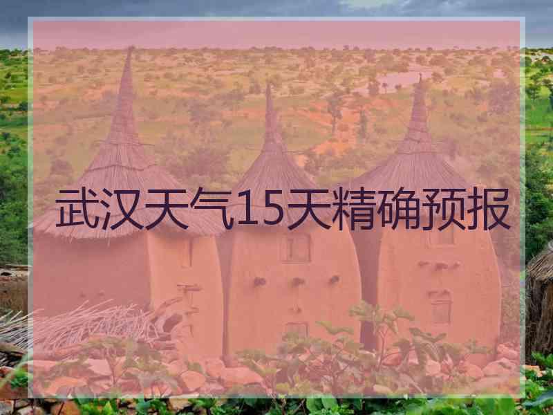 武汉天气15天精确预报